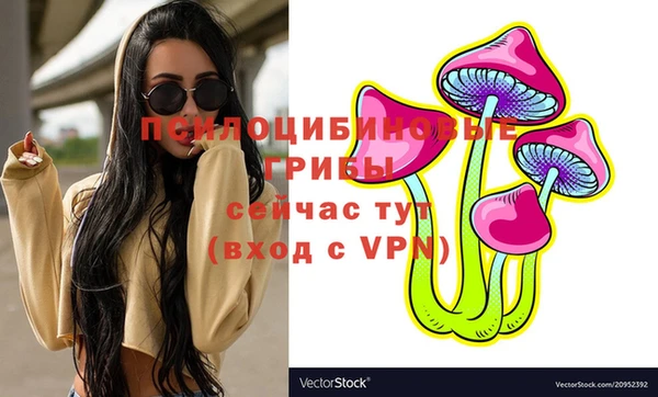 молекула духа Аркадак