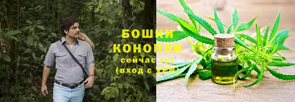 молекула духа Аркадак