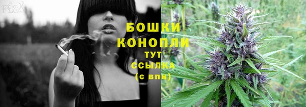 молекула духа Аркадак